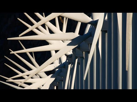&#039;Reckless race&#039; toward wind renewables is &#039;degrading&#039; the environment